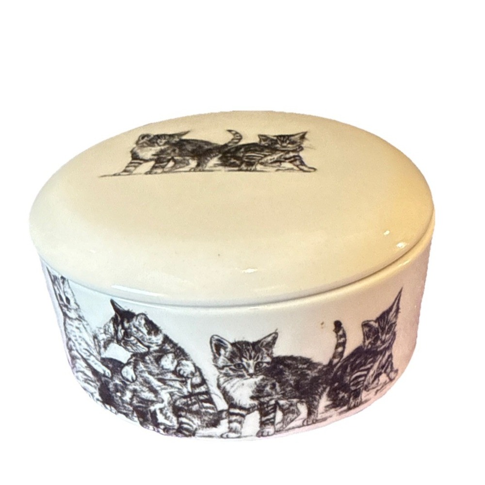Forty Winks By Cheri‎ Lane Kitty Tabby Cat Trinket Treasure Box Black White